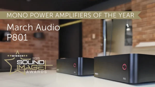 P801 Mono-Block Power Amplifier