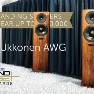 Ukkonen AWG Floor Standing Speaker (PAIR)