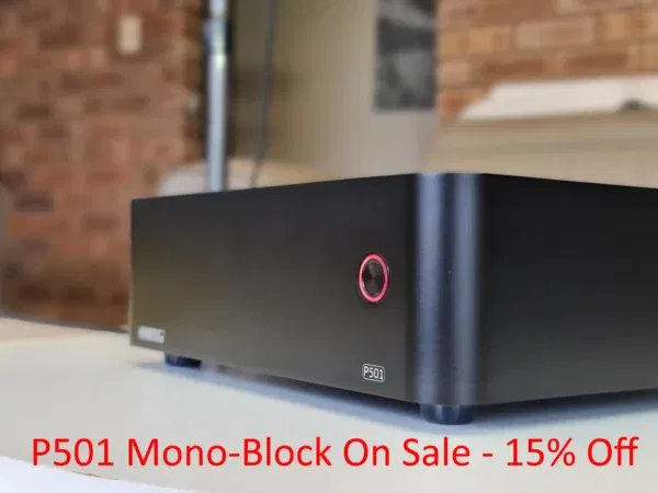 P501 Mono-Block Power Amplifier
